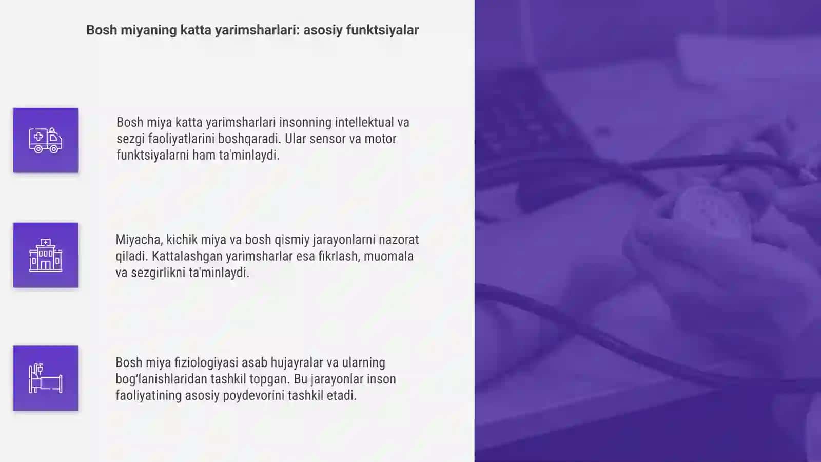 Bazal yadrolar. Bosh miya katta yarimsharlari va miyacha fiziologiyasi 4
