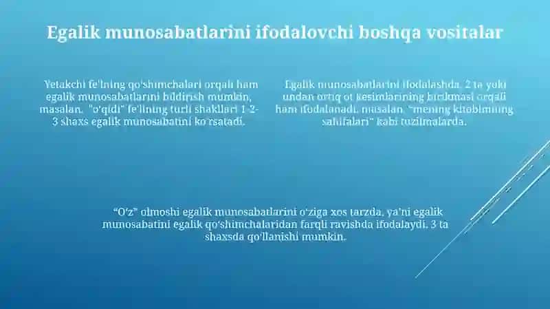 Oʻzbek tilshunosligida egalik kategoriyasining oʻrganilishi 4