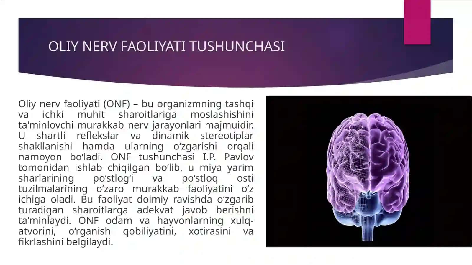 Oliy nerv faoliyatining tiplari 4