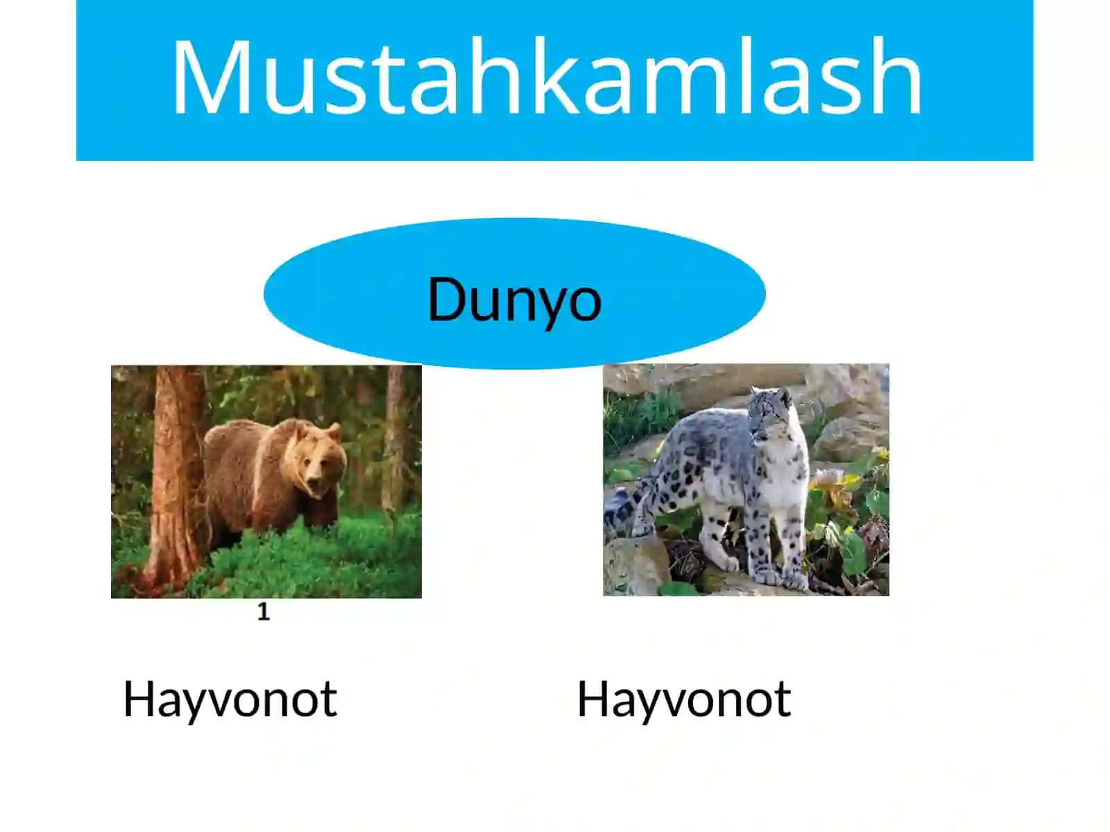 Biologiya; Umurtqasiz hayvonlar 4
