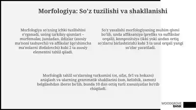 Grammatika-tilstrukturasini oʻrganuvchi 4