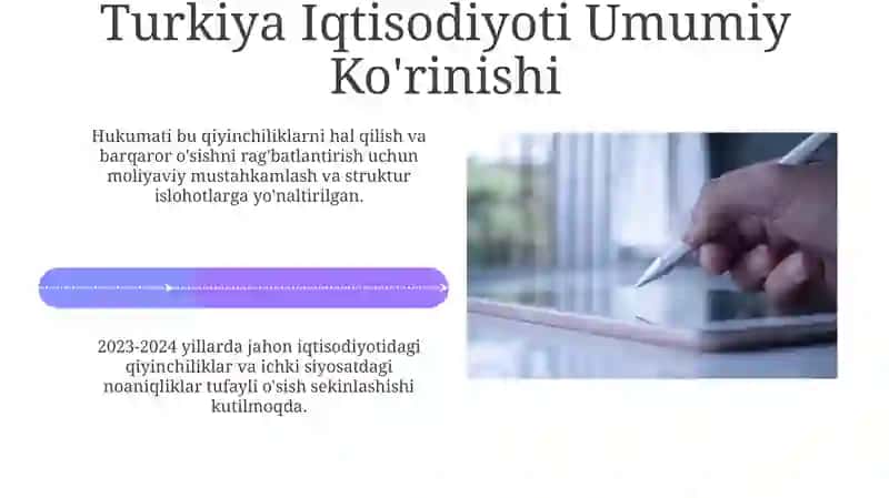 Turkiya iqtisodiyoti. YAIM. YAMM.2023 2024 yillar 4