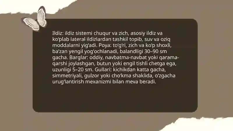 O'qqa yin o‘simligining botanik tavsifi va yetishtirish texnologiyasi 4