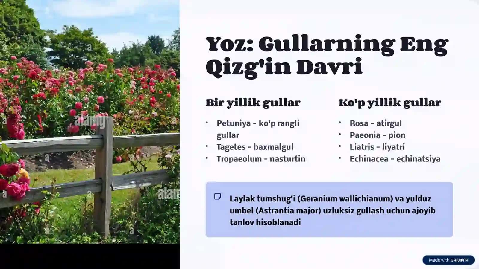 Har Faslda Gulzorni Tashkil Etish: Yil Davomida Go'zallik 4