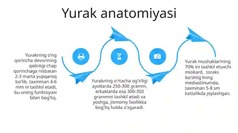 Odamning kelib chiqishi ichki va tashqi organizimlari skilet tuzulishi va yurak faoliyati 4