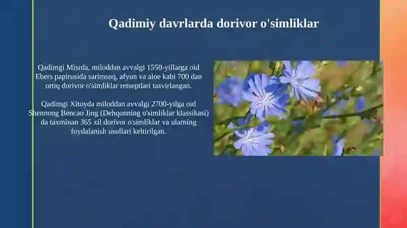 Retsept tarixi va dorivor o'simliklar 4