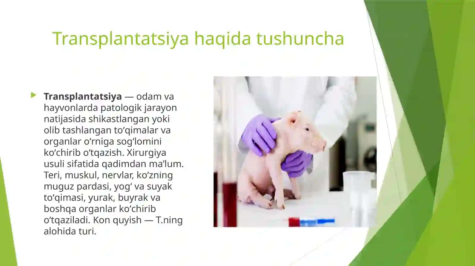 Regeneratsiya, transplantatsiya va ularning turlari 4