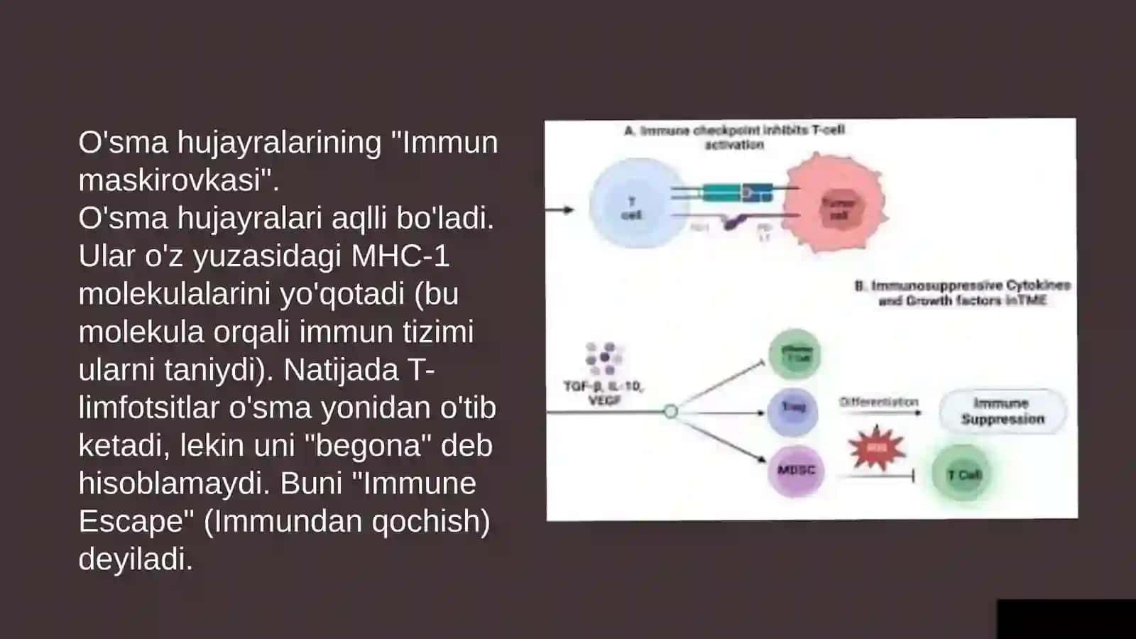 Immunopatologiya va o'sma hujayralar: Molekulyar mexanizmlar 4