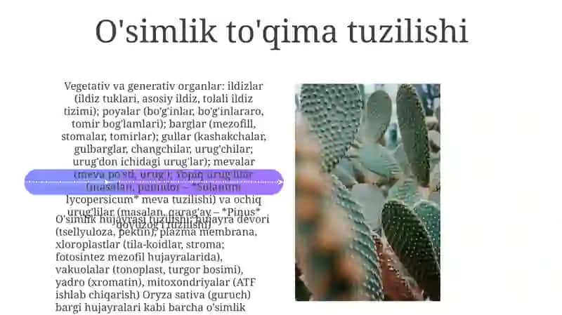 O'simlik hujayrasi tuzilishi 4