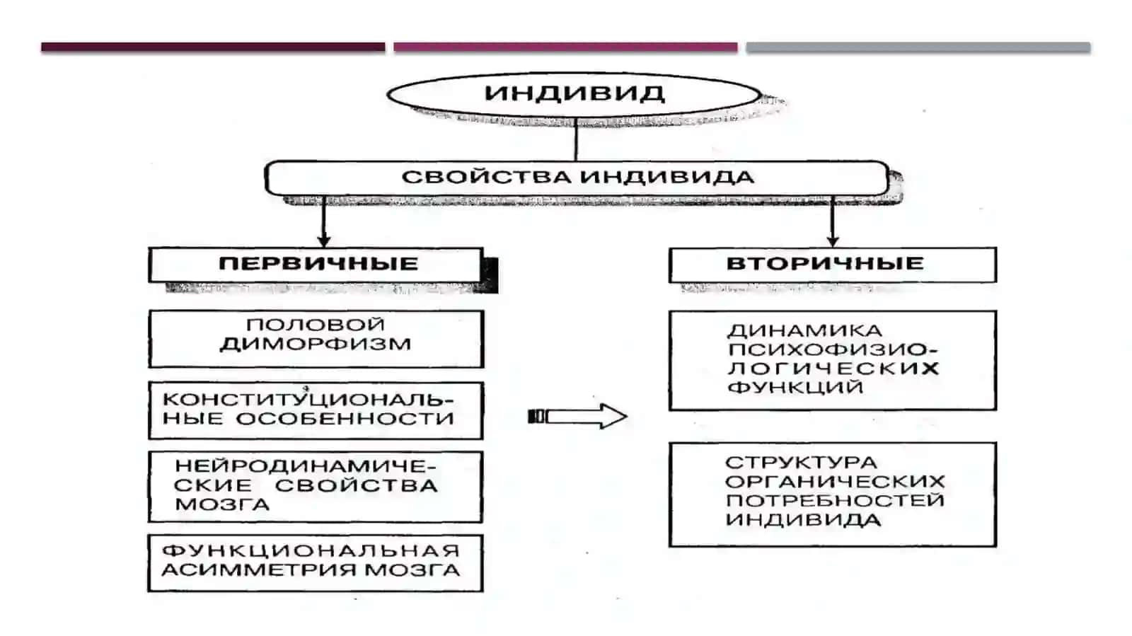 Проблема человека в трудах Б.Г. Ананьева. КОНЦЕПЦИЯ «ЧЕЛОВЕКОЗНАНИЯ» 4
