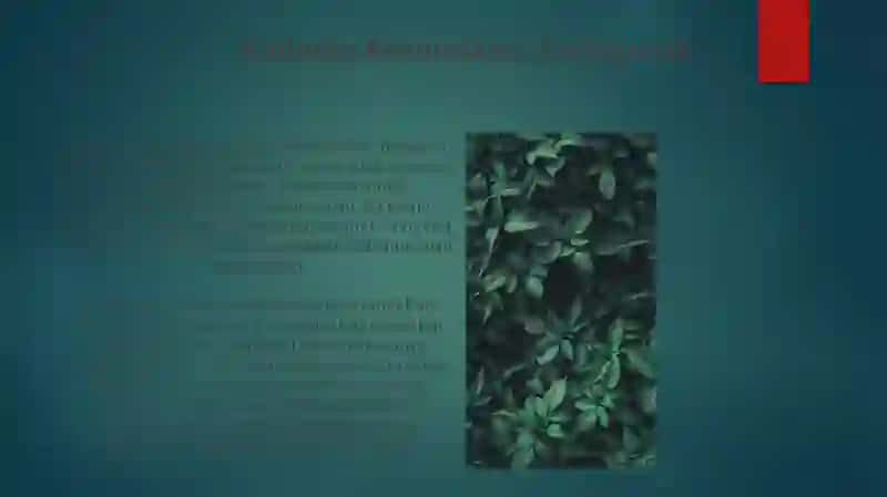 Materiklarni tabiiy rayonlashtirish masalalari, ulkalariga qiyosiy tavsif 4