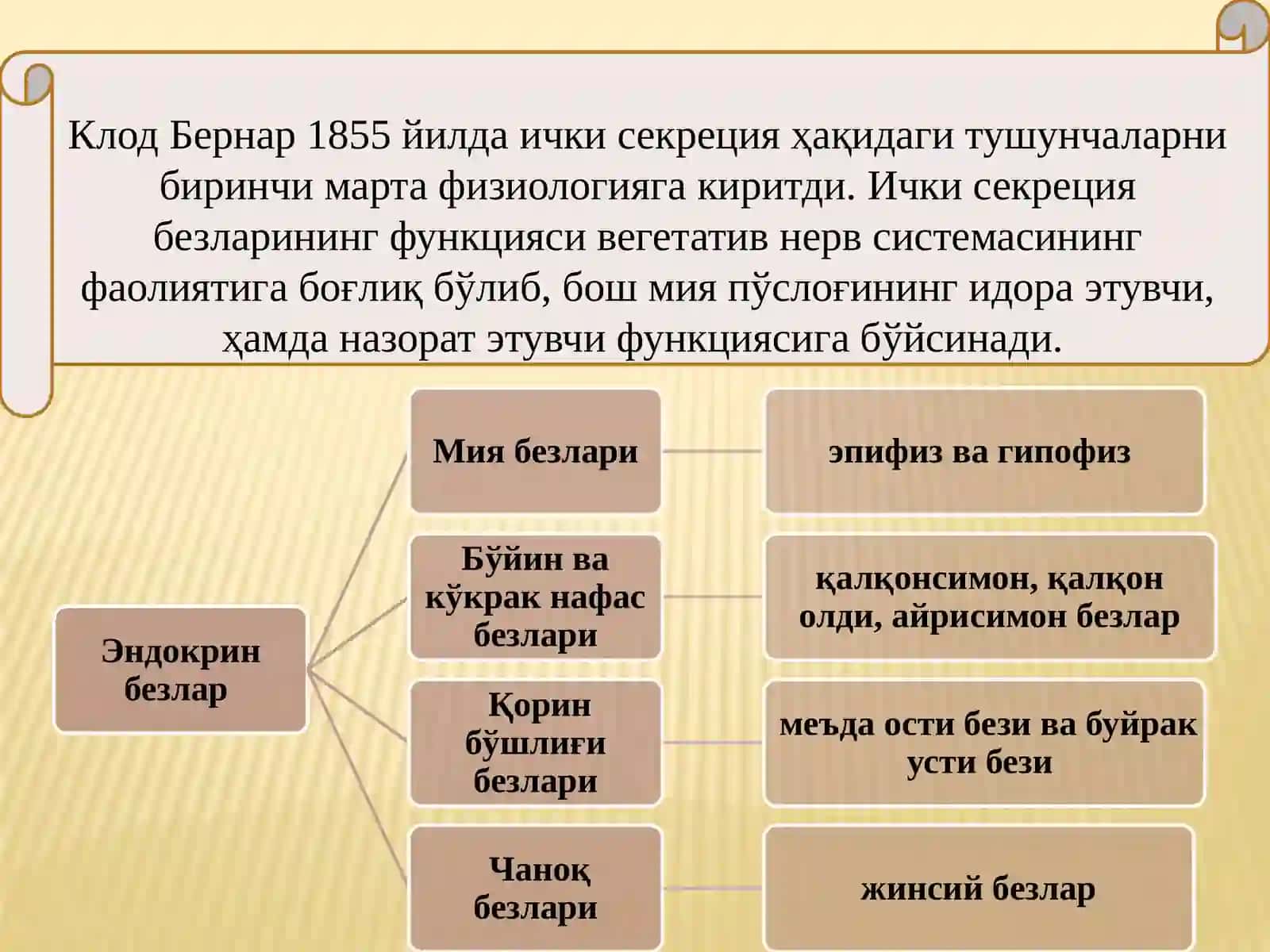ICHKI SEKRETSIYA BEZLARINING YOSH HUSUSIYATLARI 4