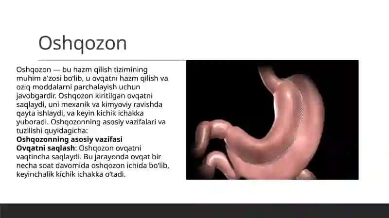 hazm qilish sistemasi 4