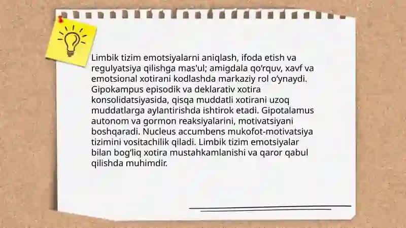 Limbik tizimning umumiy anatomiyasi va tashkil topishi 4