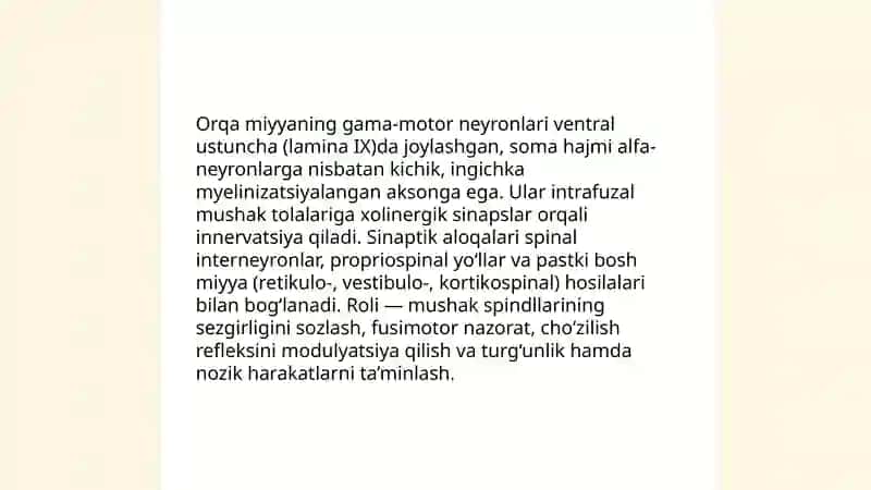 Orqa miyyaning harakatlantiruvchi neyronlarining turlari, ularning morfofunksional xususiyatlari 4