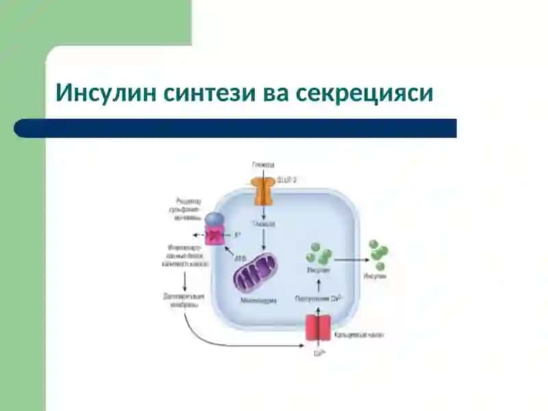 Моддалар алмашинуви хасталиклари 4