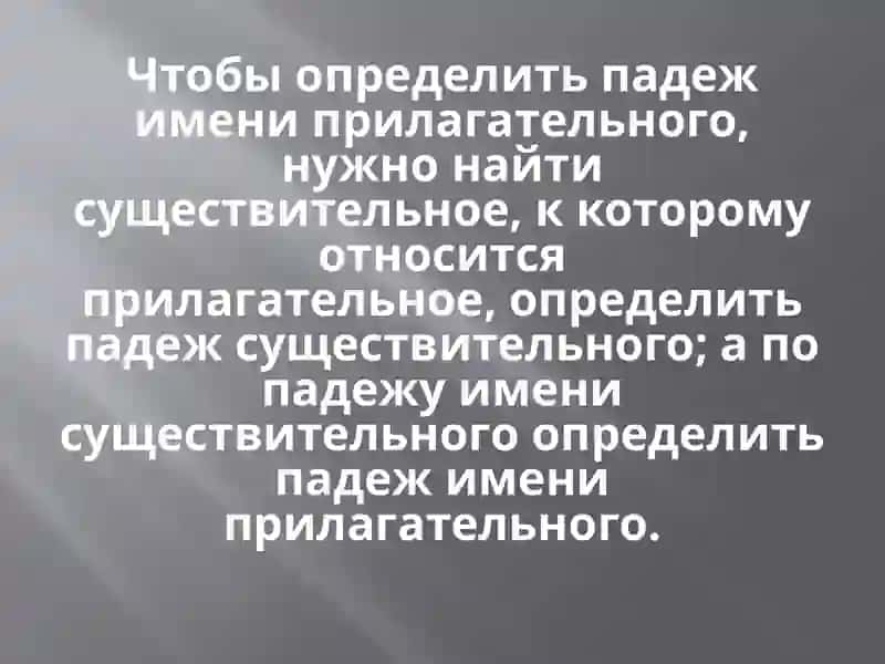 Падеж имени прилагательного 4