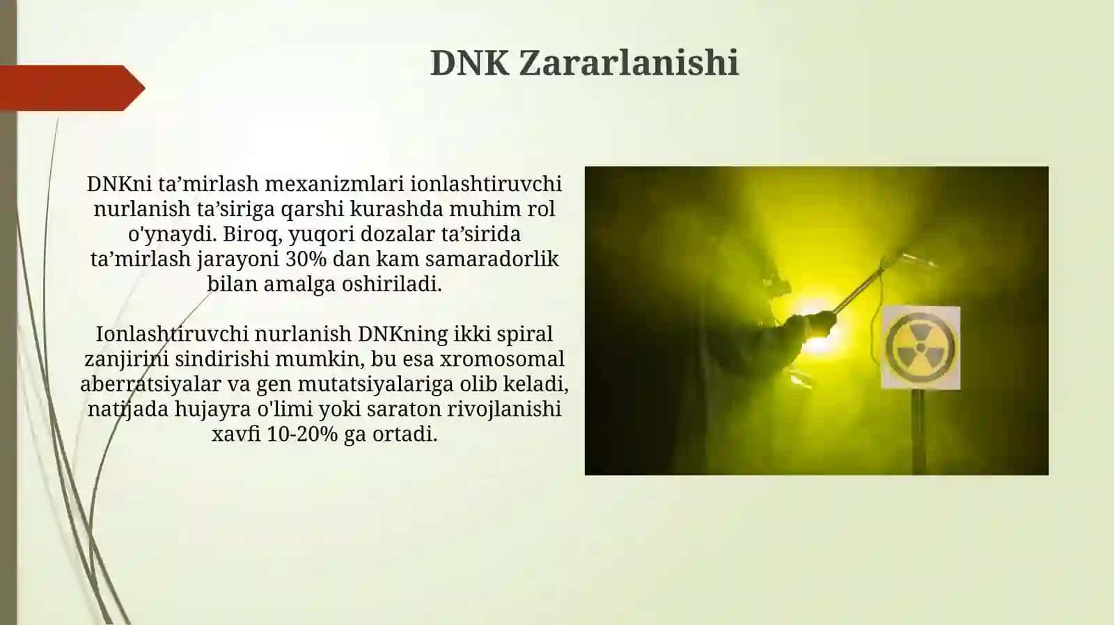 Ionlashtiruvchi nurlarning biologik effekti( Radiologiya fanidan) 4