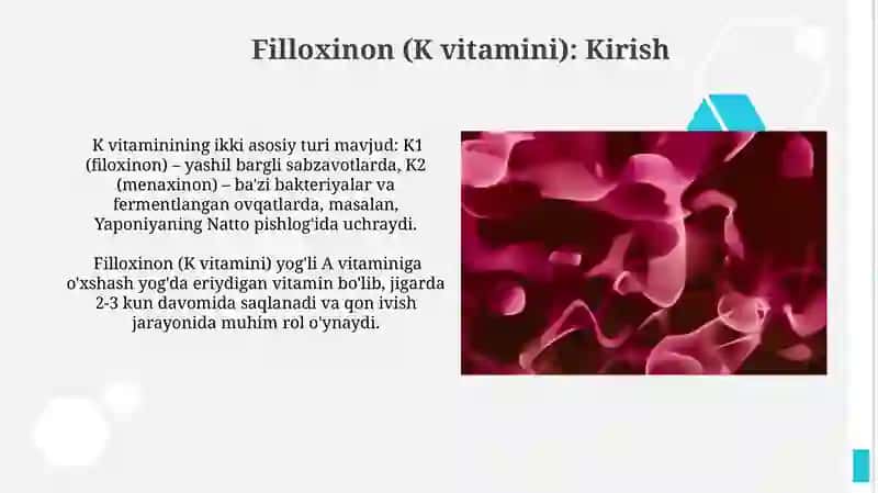 Filloxinon (K vitamini) 4