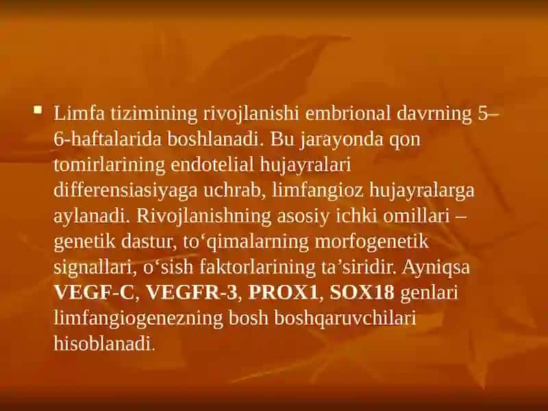 Limfa tomirlarning rivojlanishiga va tuzilishiga ijtimoiy va bialogik muxitlarning tasiri 4