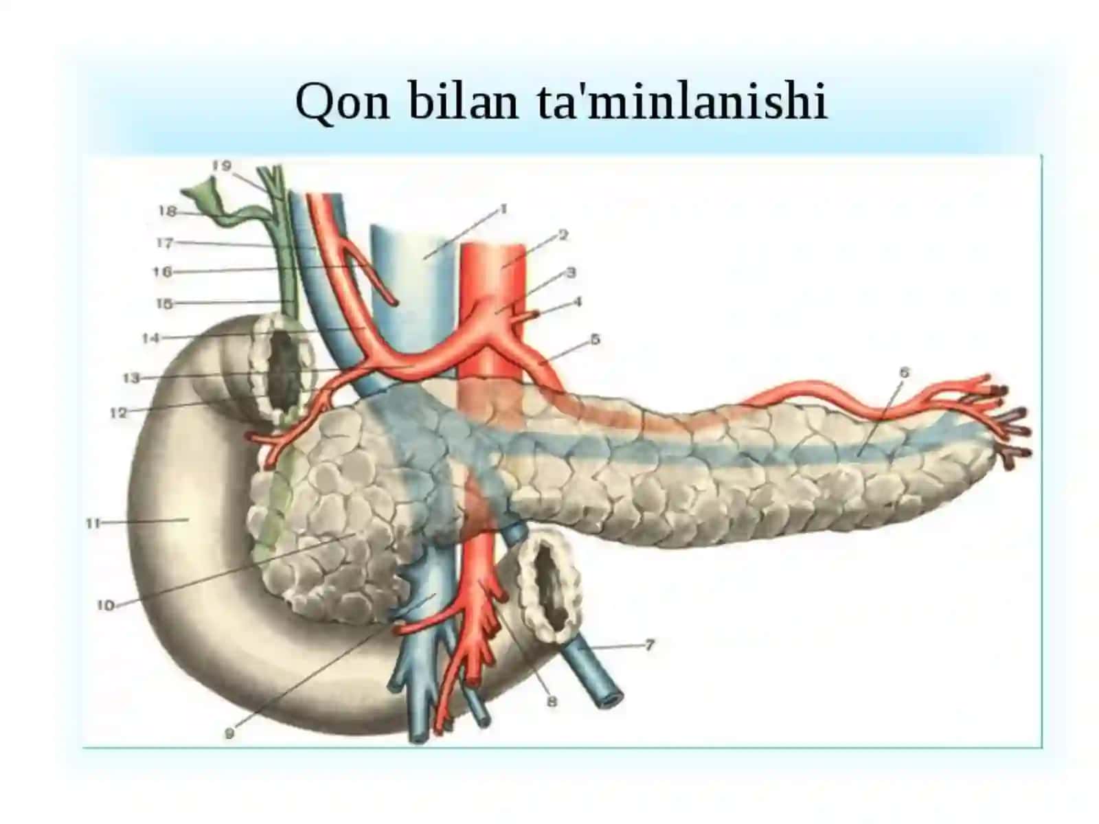 Pankreatitlarni xirurgik davolash usullari 4