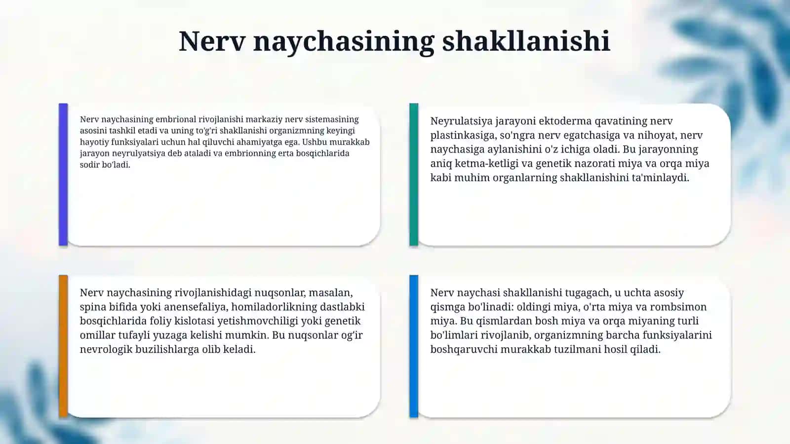 Nerv va endokrin sistema ontogenezi 4