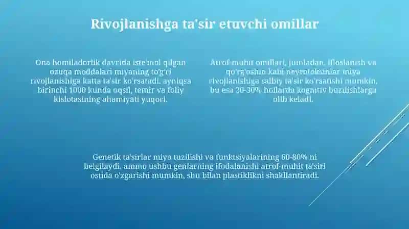 Bosh miyaning rivojlanishi 4