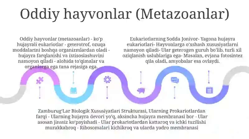 Eukariotlarning Sodda Jonivor, ZamburugʻLar Biologik Xususiyatlari Strukturasi, Ularning Prokariotlardan Farqi 4