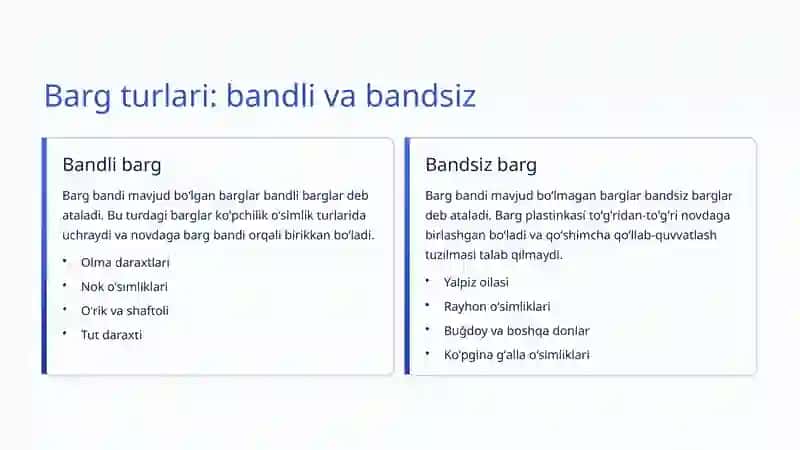 Bargning Anatomiyasi: Oʻsimliklarning Hayotiy Organlari 4