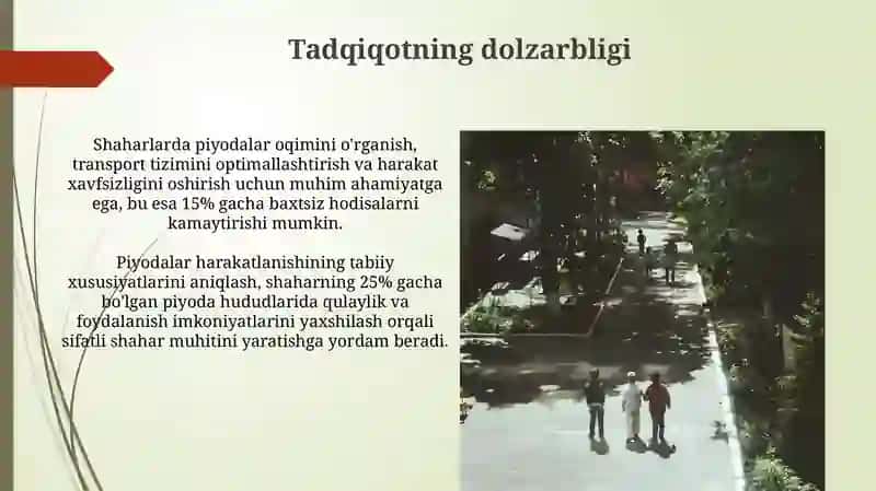 Shahar piyoda oqimining Natur tadqiqoti 4