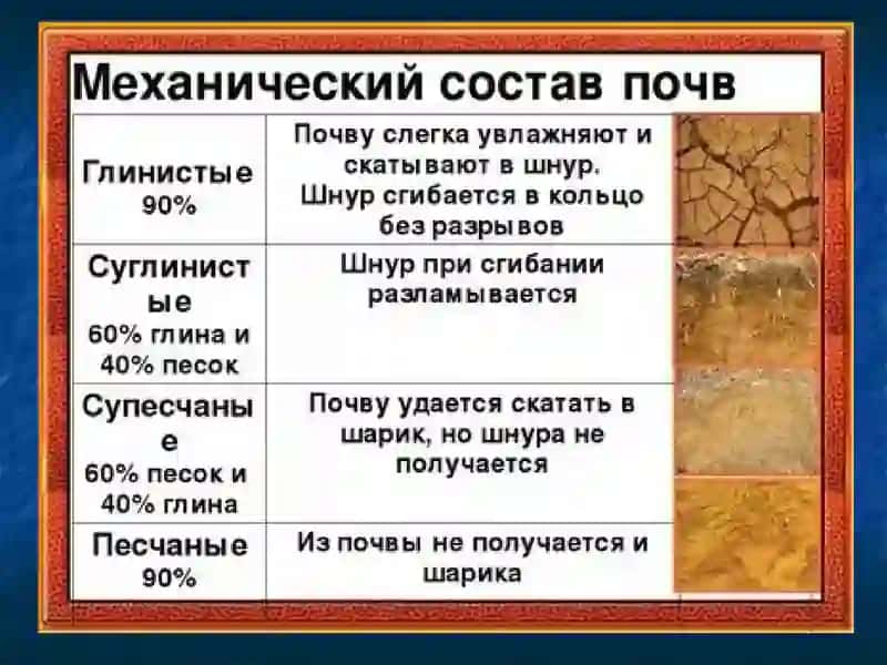 Механический состав почвы 4