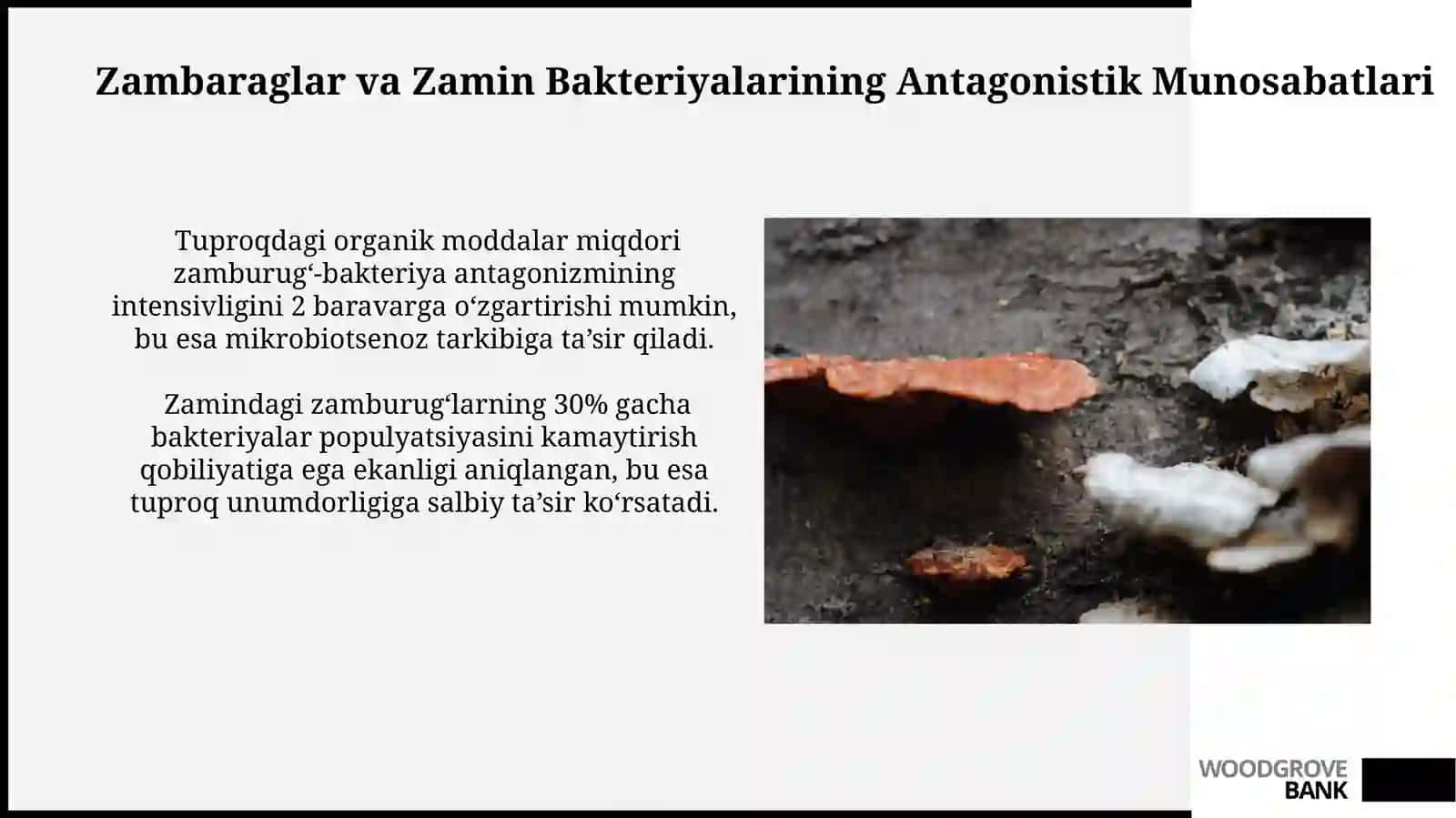 Patogen Zambarunglarning Tuproq Mikrobiotasiga Ta'siri 4
