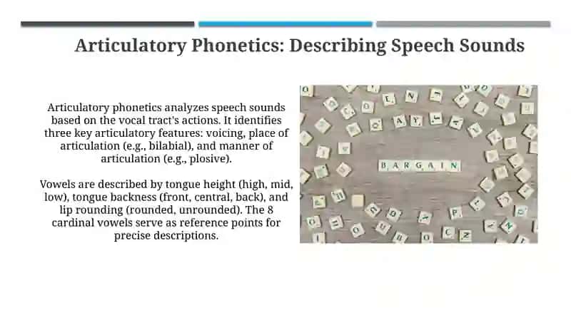 Typology of phonetic and phonological levels of English languages 4