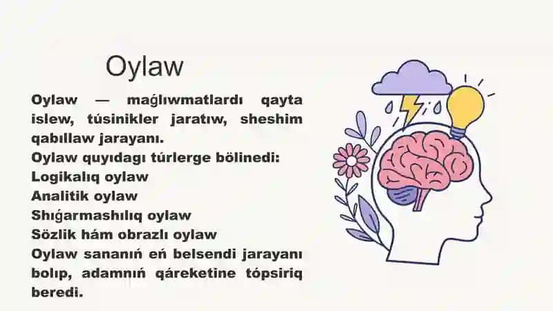 Insan sanasiniń psixologiyaliq dúzilisi hám xizmet túrleri 4