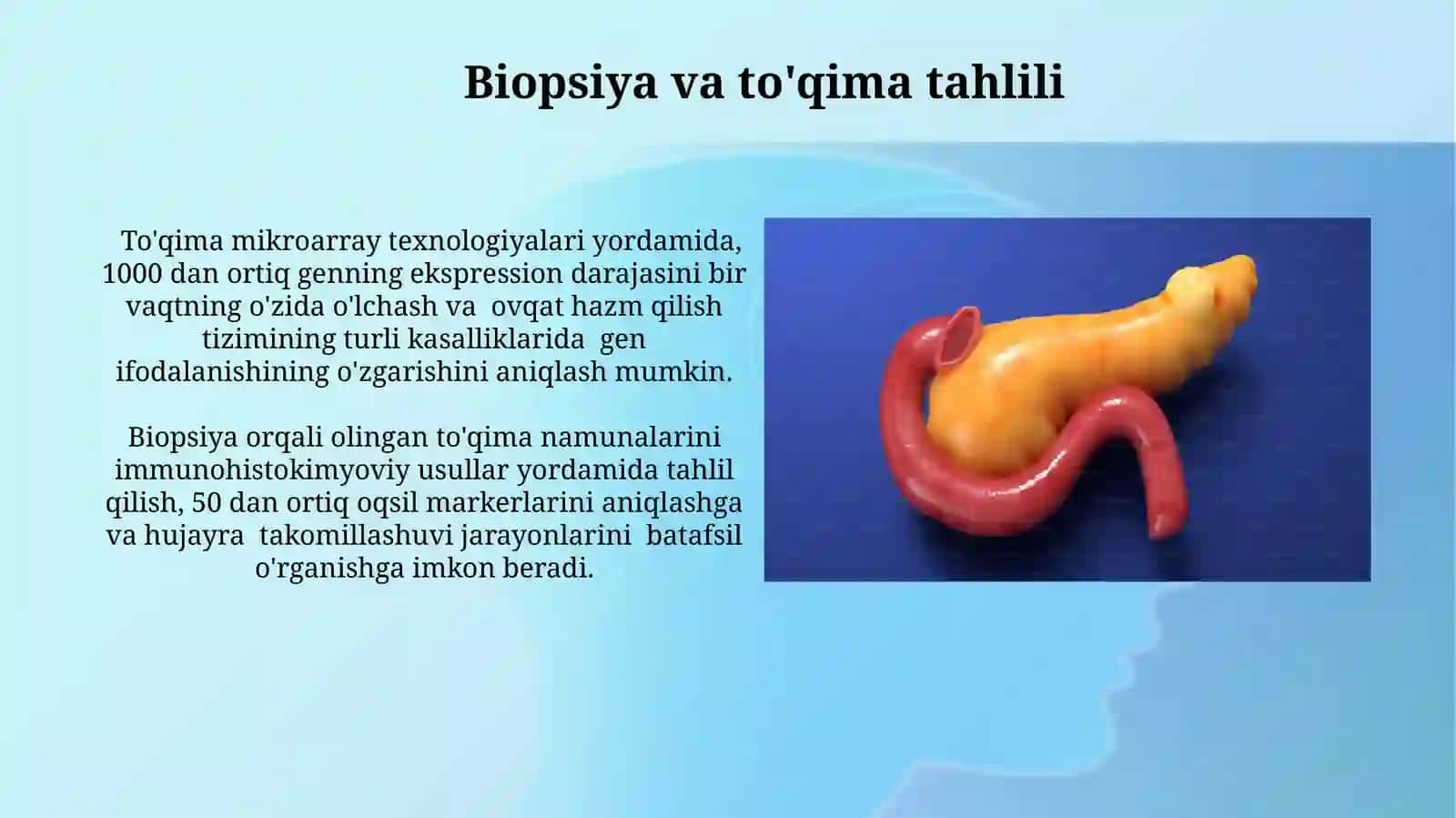 Ovqat hazm qilish tizimini o'rganishning yangi usullari 4
