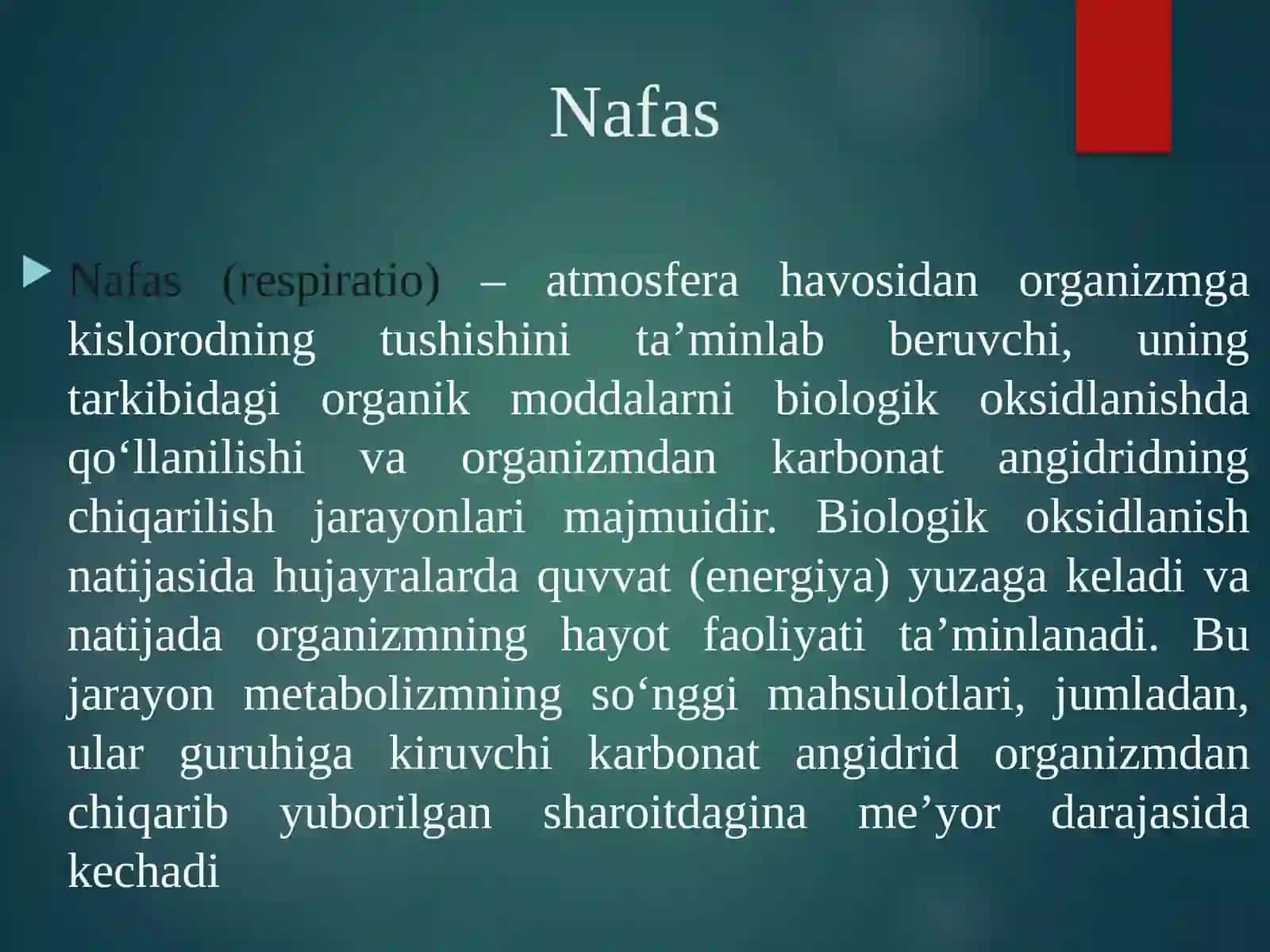Nafas tizimi anatomo fiziologiyasi 4