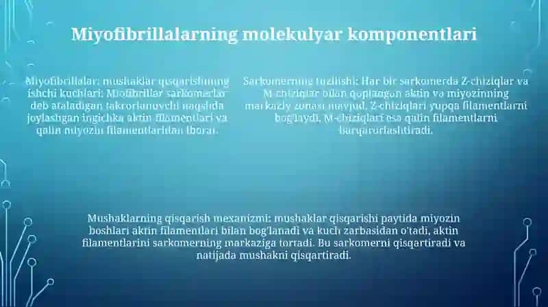 Mushak Qisqarish Mexanizmining Morfologik Asoslari 4
