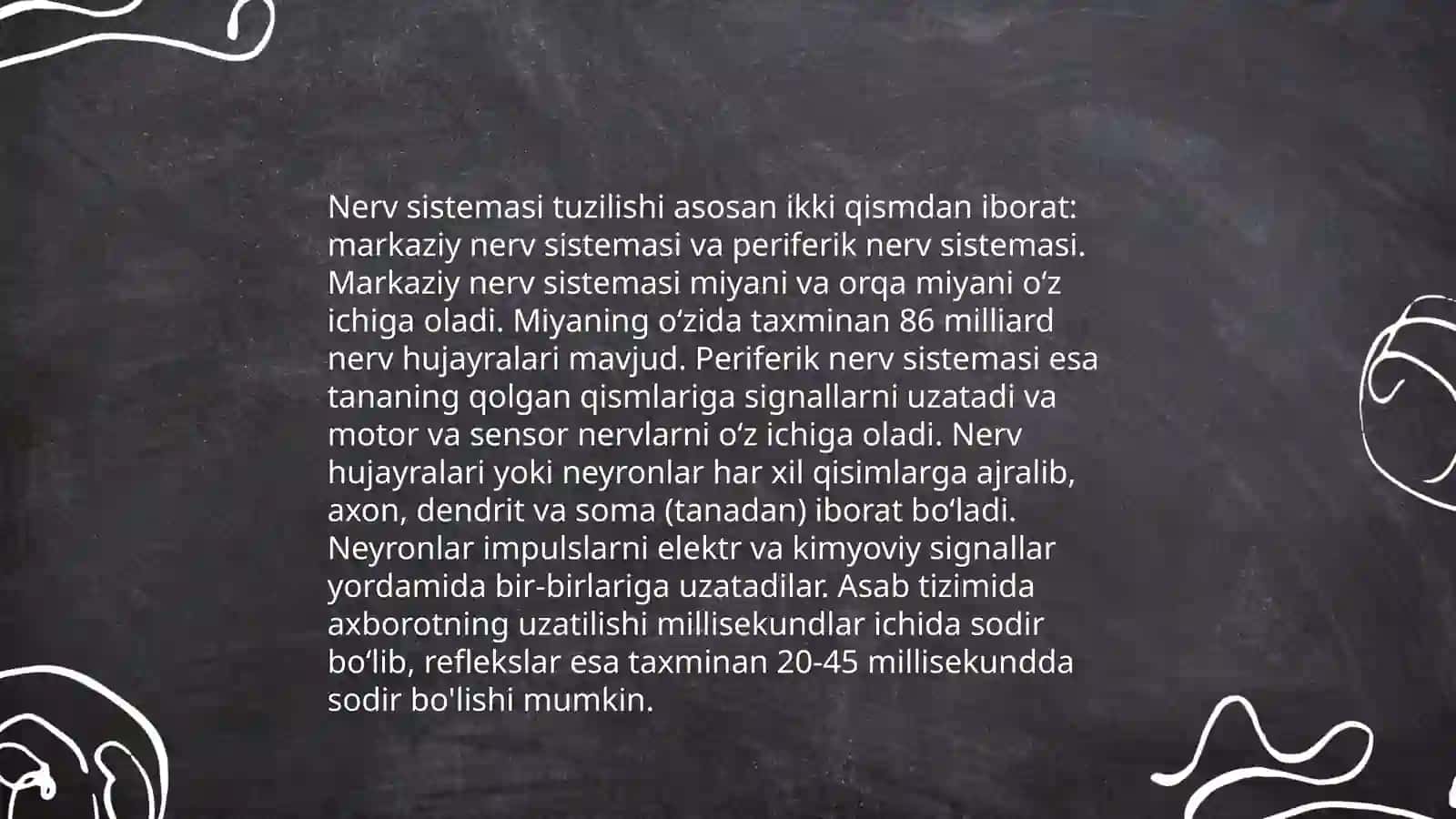 Orqa miya anatomiyasi 4
