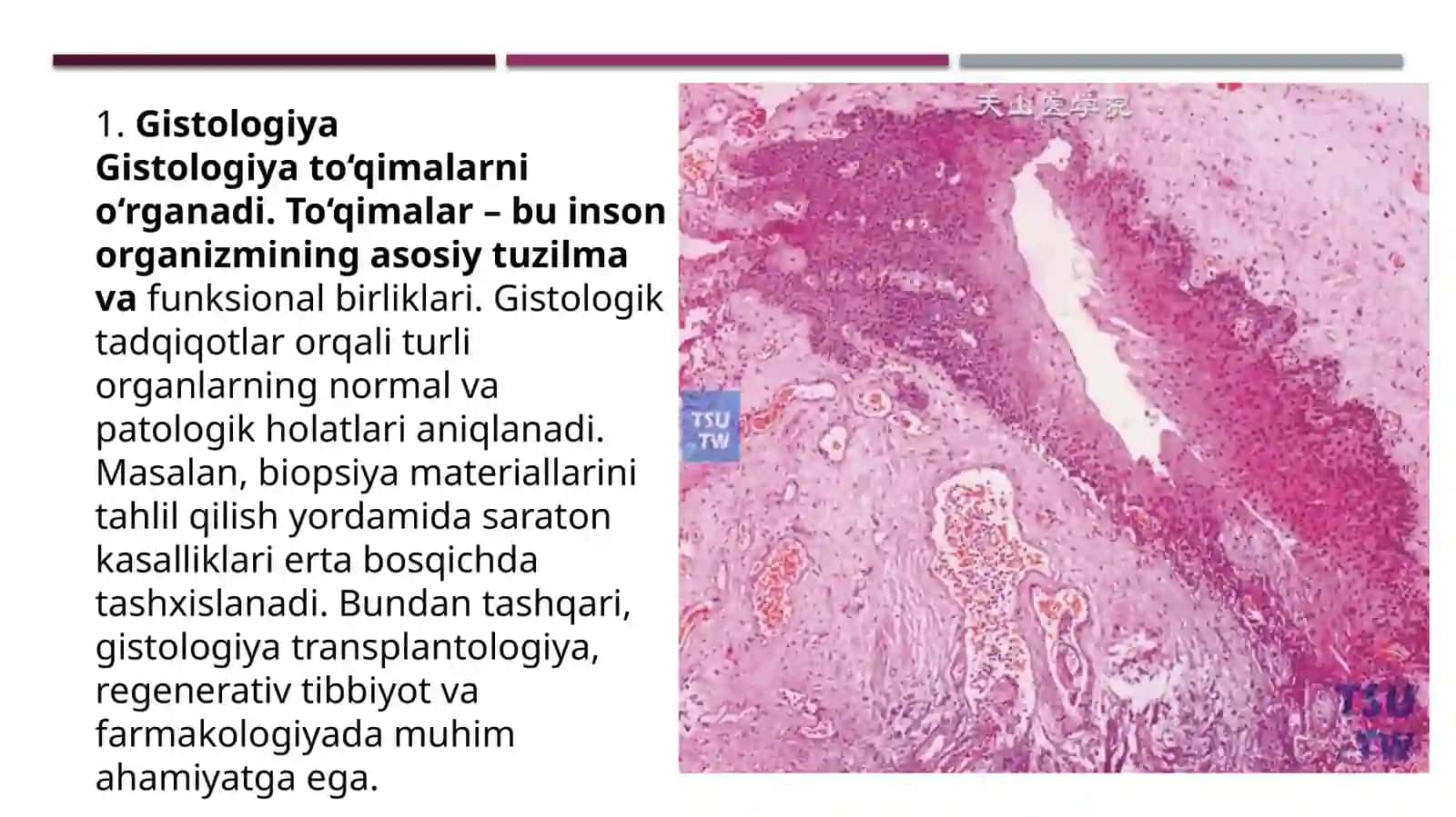 Gistologiya, Sitologiya va Embriologiya Fanlari Haqida 4