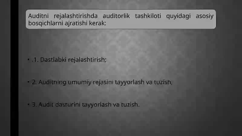 Auditorlik umumiy rejasi va auditorlik dasturini tuzish tartibi 4