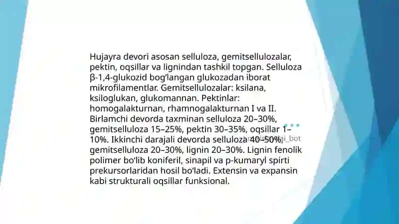 O‘simliklar anotomyasi va fizologiyasi 4