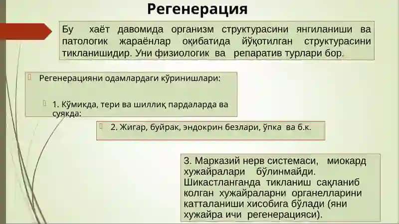 Usma xujayralarini kelib chiqishidagi axamiyati 4