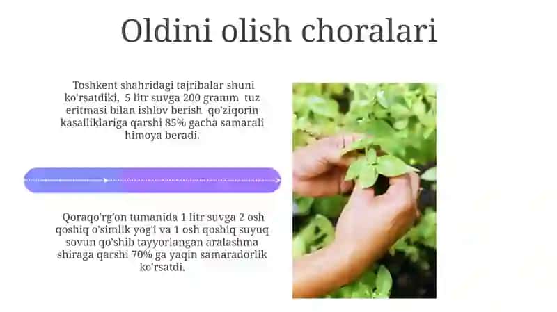 Tabiiy o'simlik zararkunandalariga qarshi kurash vositalari 4