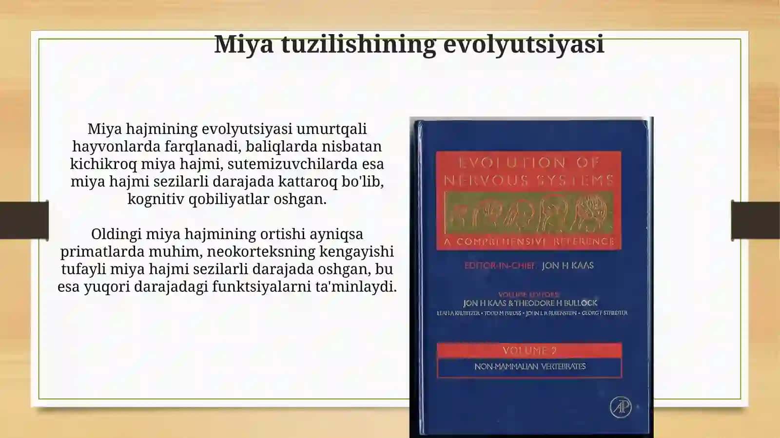 Umurtqali hayvonlarda nerv tizimi filogenezi 4