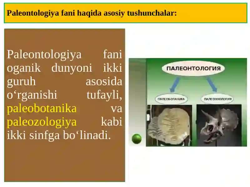 Paleontologiya fani haqida tushunchalar 4