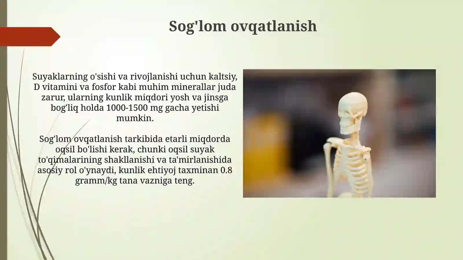 Suyaklar o'sishi va rivojlanishiga ta'sir etuvchi omillar 4