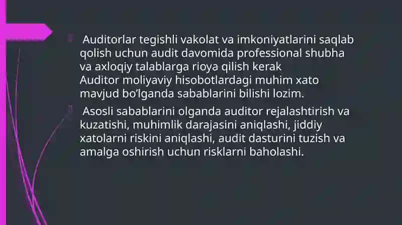 Auditning umumiy rejasini tayyorlash xususiyatlari 4