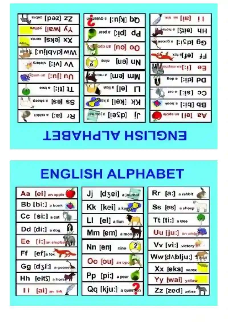Dastlabki Alifbo va Matematika ko'rgazmalari 4