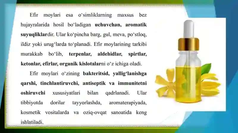Oʻsimlik moylari saqlovchi va efir moyli istiqbolli dorivor oʻsimliklar 4