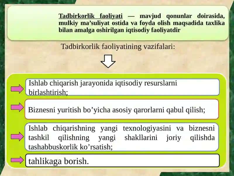 Tadbirkorlik Faoliyatining Mohiyati 4